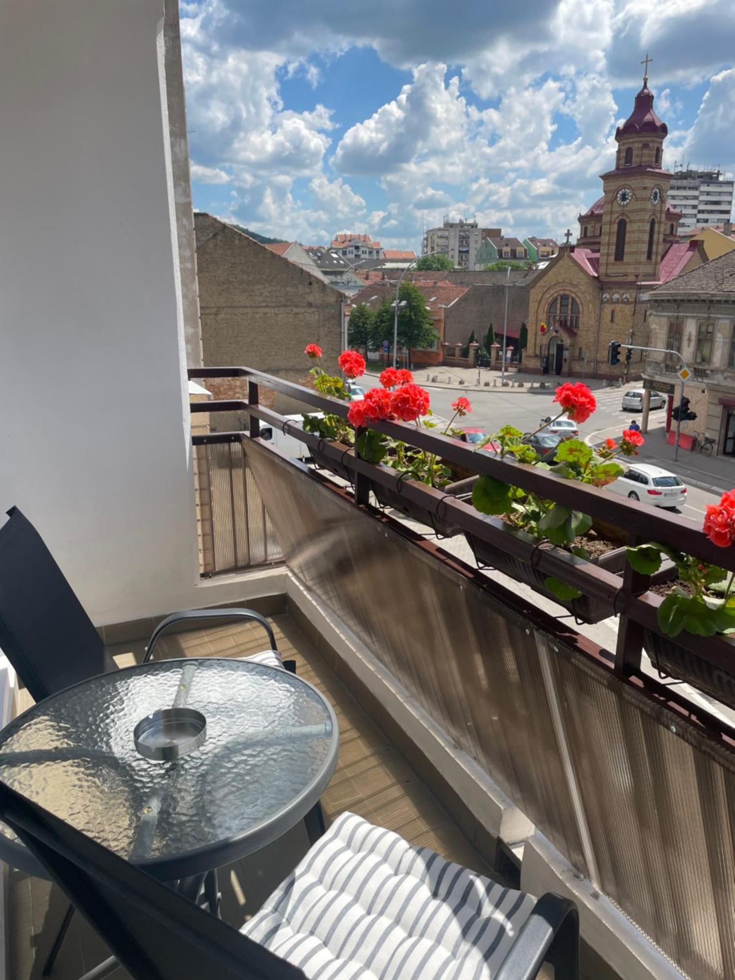 Sunny Apartment Vrsac Exteriér fotografie